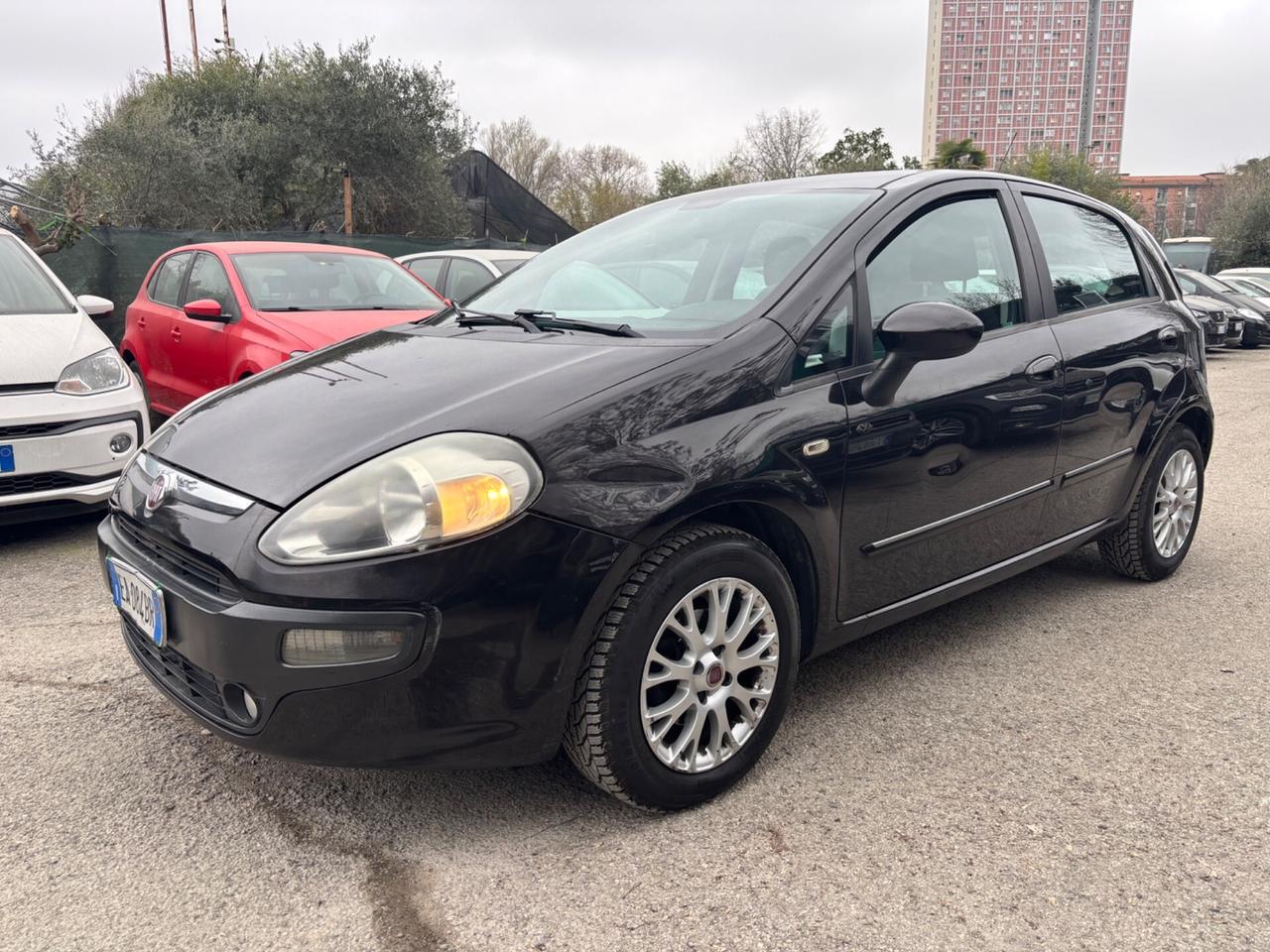 Fiat Punto Evo 1.2 5 porte GPL OK NEOPATENTATI