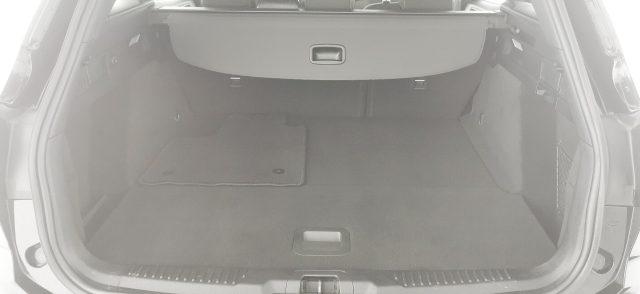 FORD Focus 1.5 EcoBlue 115 CV automatico SW ST-Line