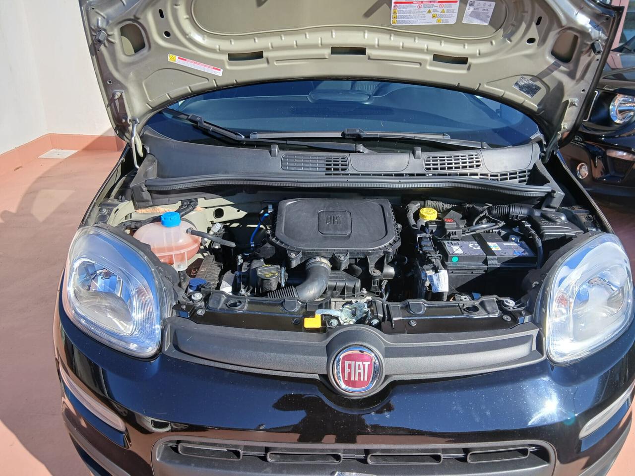 Fiat Panda 1.0 FireFly S&S Hybrid