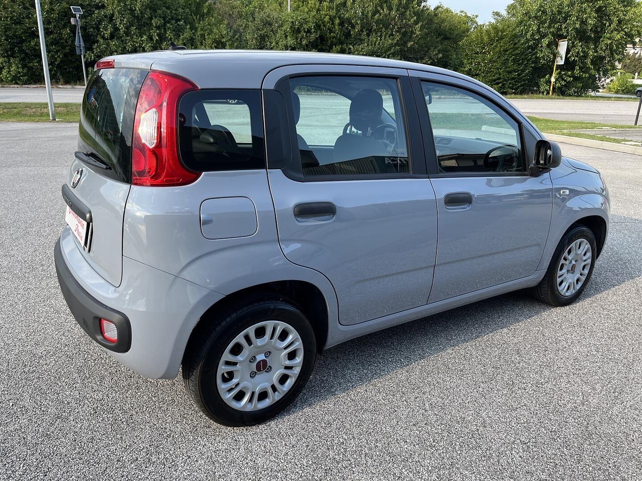 FIAT PANDA 1200 CC 69 CV EASY