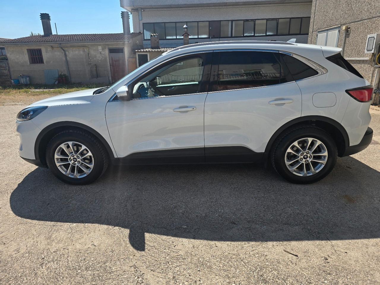 Ford Kuga 1.5 EcoBlue 120 CV 2WD Titanium Business