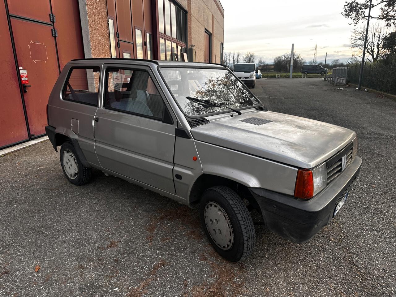 Fiat Panda 1100 i.e. cat Young