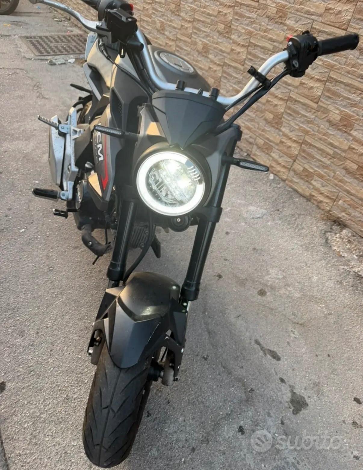 Lem Brutus