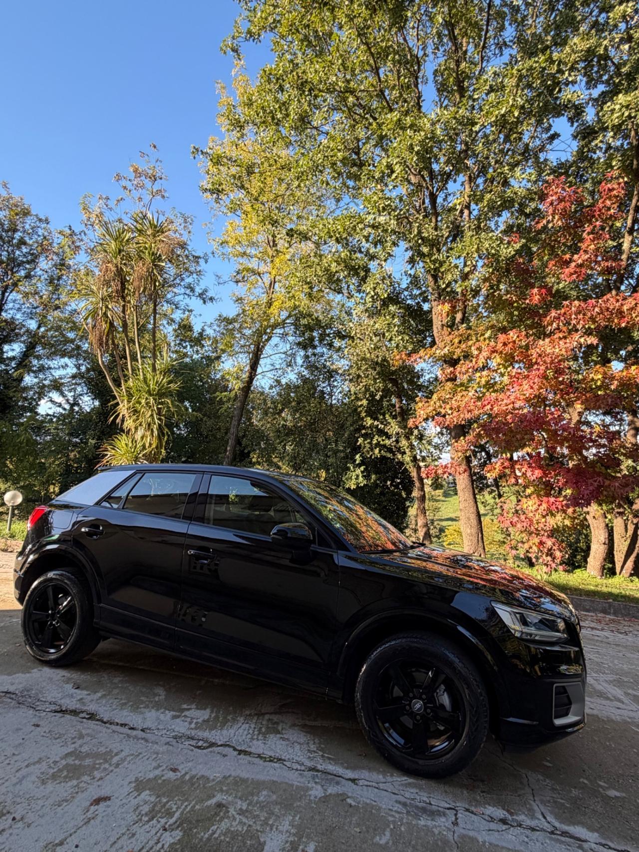 Audi Q2 1.6 S TRONIC 115CV IDENTITYBLACK