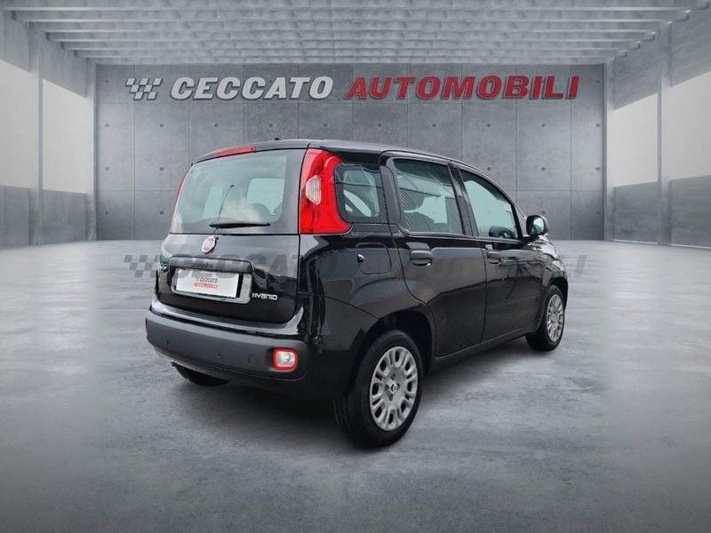 FIAT Panda Panda 1.0 firefly hybrid s&s 70cv