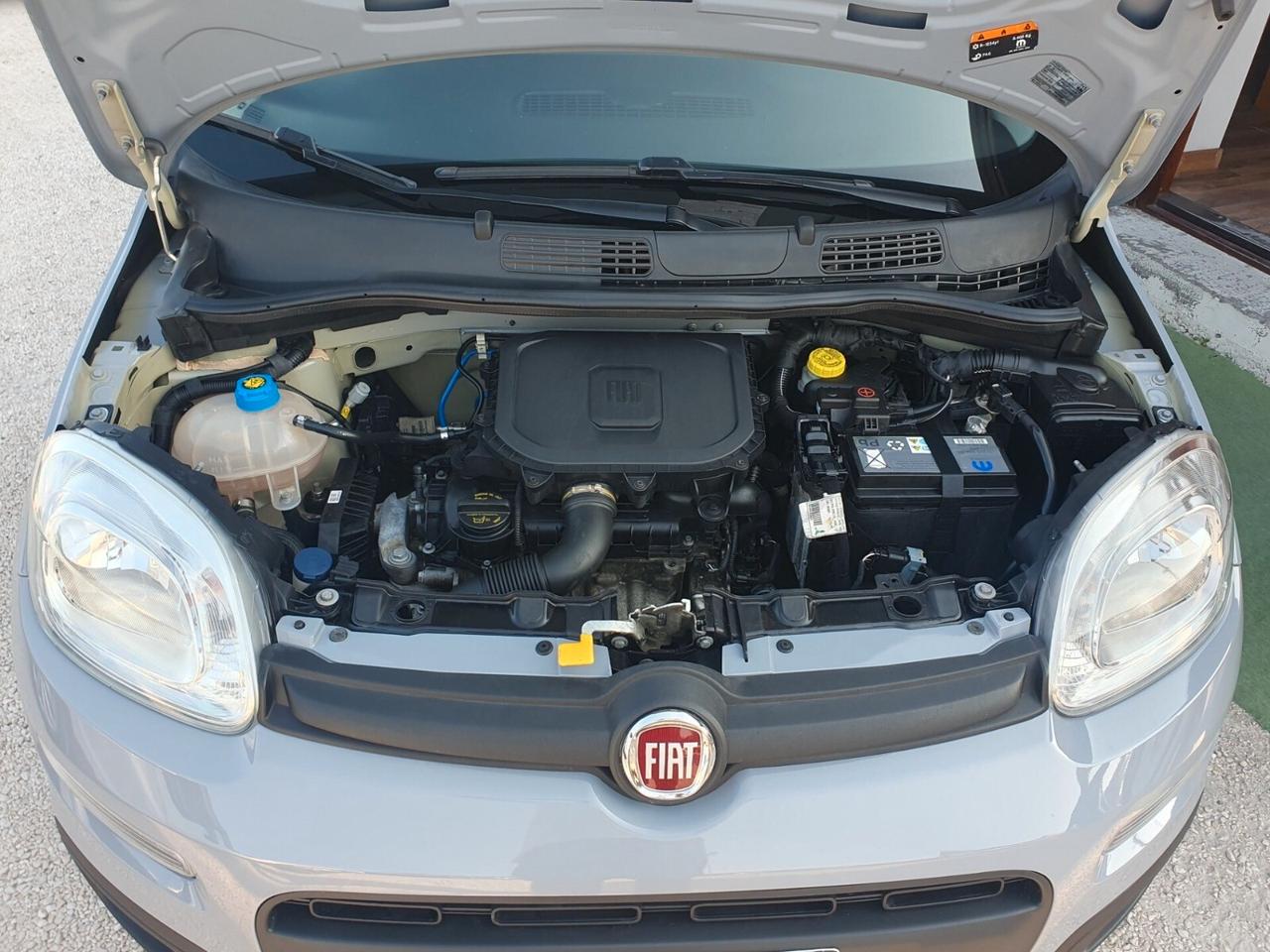 Fiat Panda 1.0 FireFly S&S Hybrid