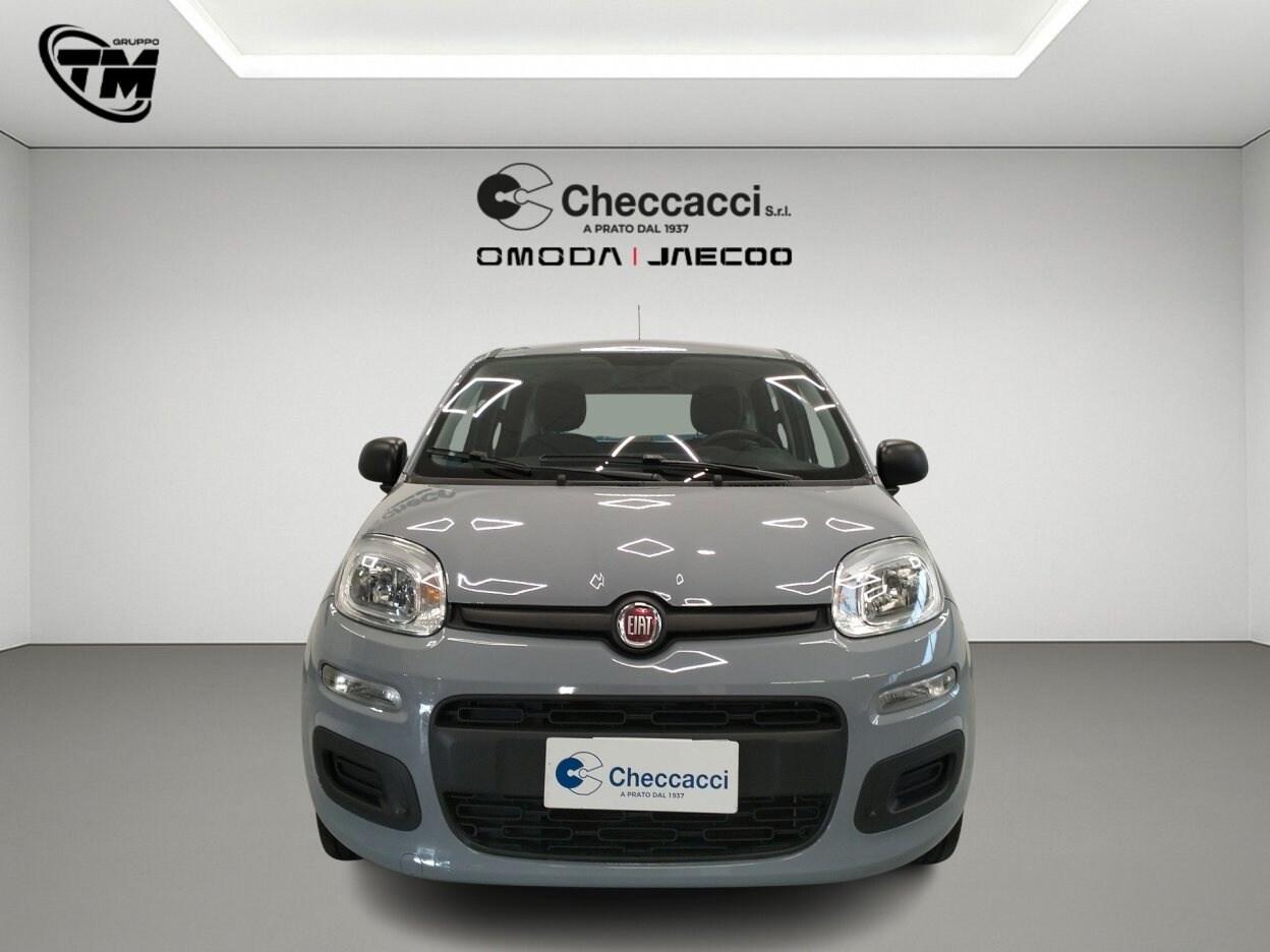 FIAT Panda 3ª serie Panda 1.0 FireFly S&S Hybrid