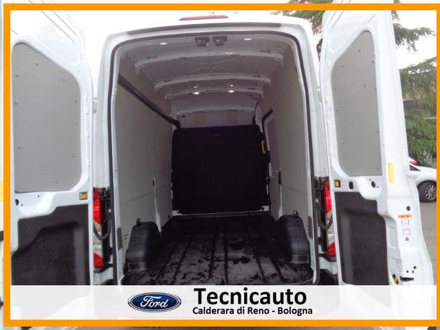 FORD Transit 350 2.0TDCi EcoBlue 170CV PL-TA VAN Trend