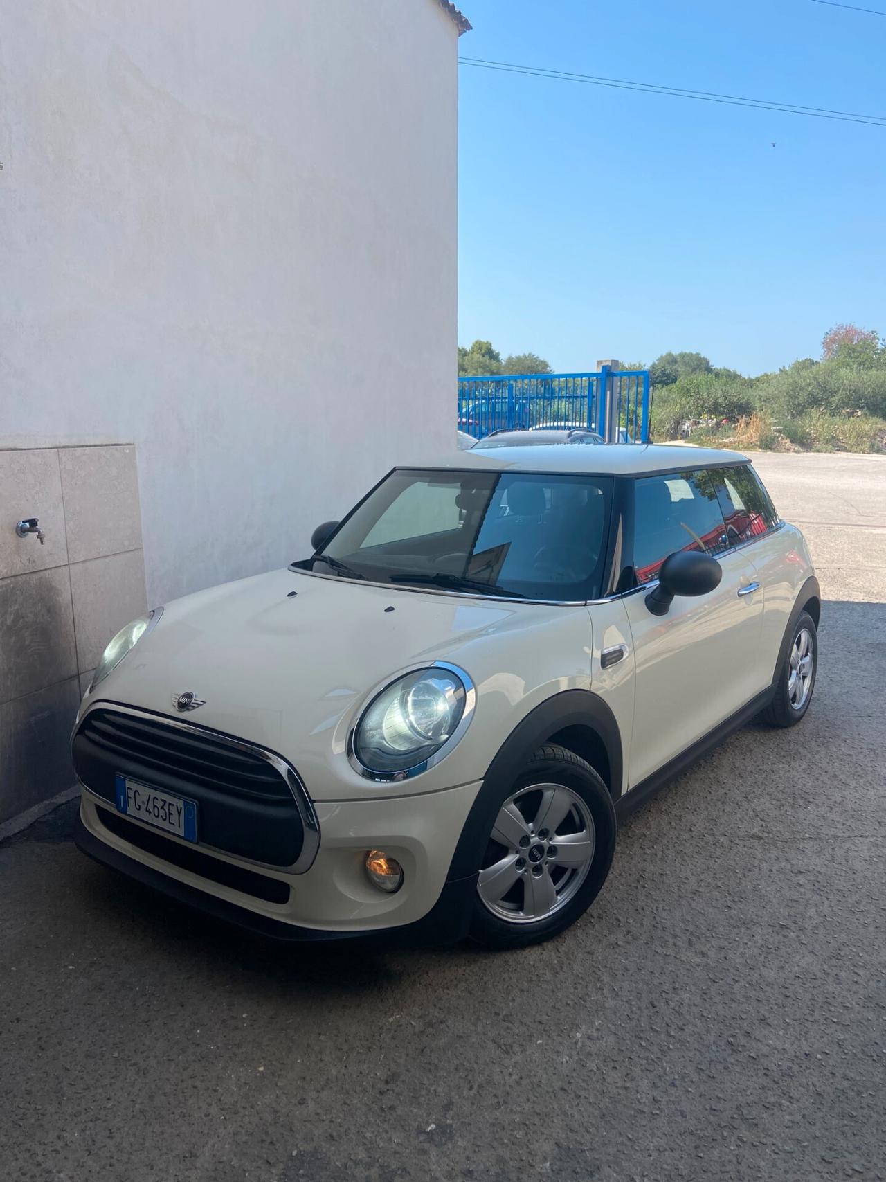 Mini Mini 1.5 One D