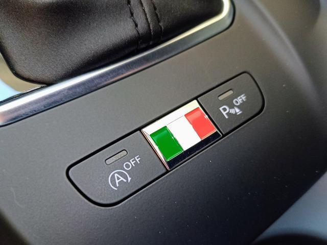 ALFA ROMEO Tonale 1.6 diesel TCT6 Sprint