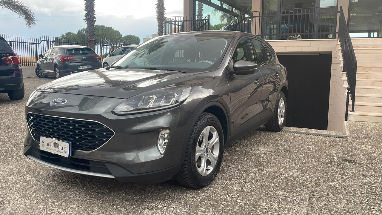Ford Kuga 3ª Serie 1.5 EcoBlue 120 CV Aut. 2WD ST-Line X