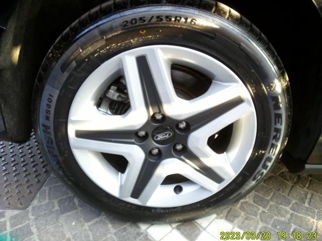 FORD Focus 1.5 EcoBlue 120 CV SW Business