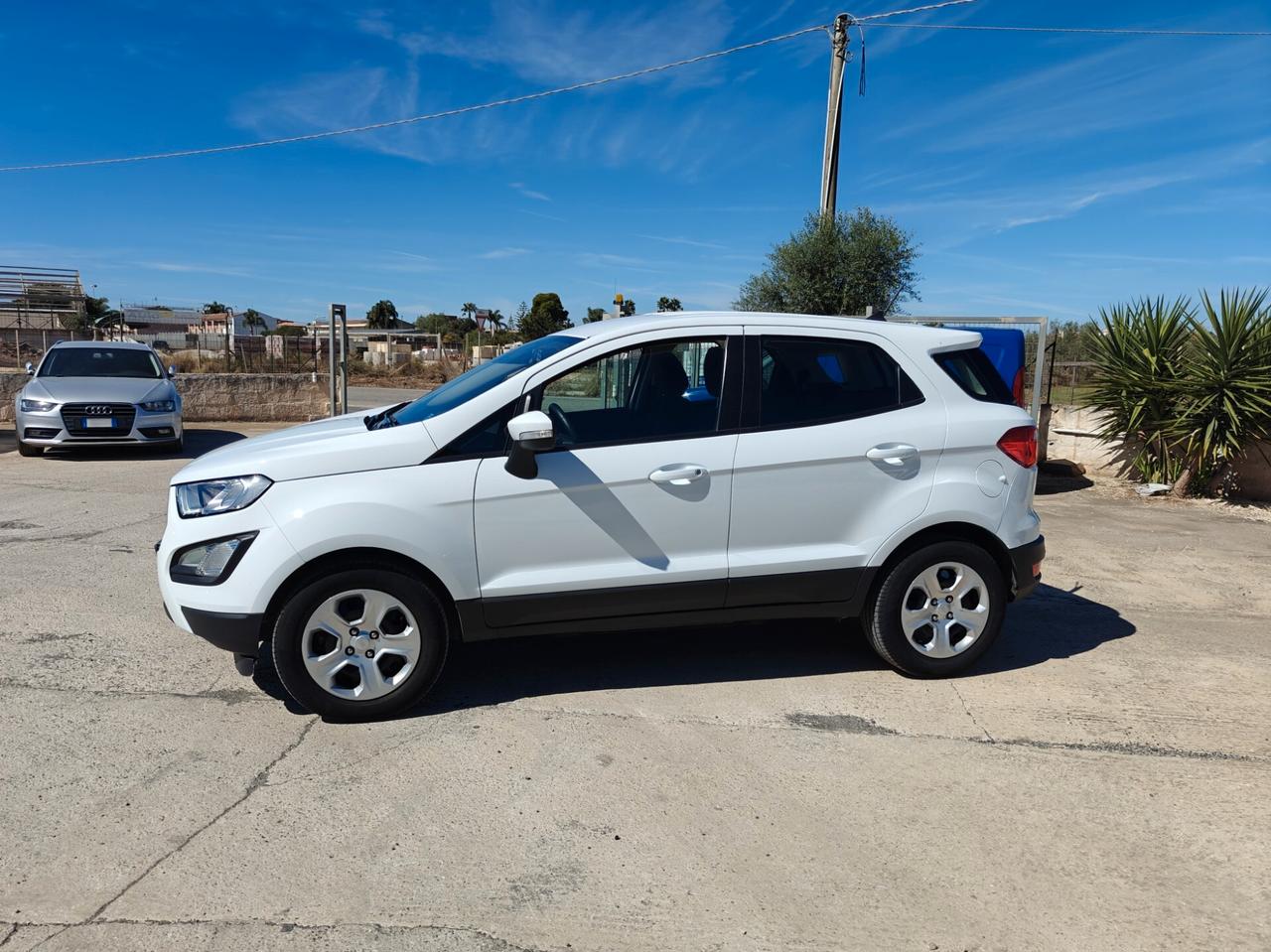 Ford EcoSport 1.0 EcoBoost 100 CV Business