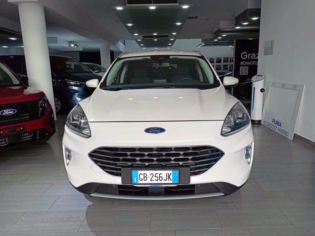 FORD Kuga 1.5 EcoBlue 120 CV 2WD Titanium Business del 2020