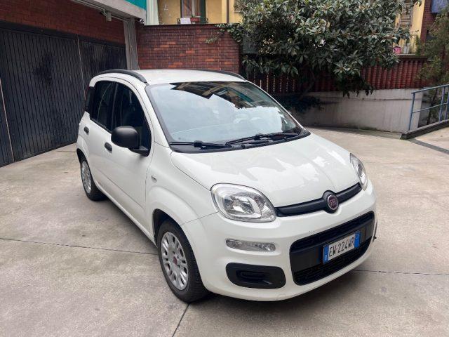 FIAT Panda 1.2 Easy euro 6 benzina distribuzione eseguita