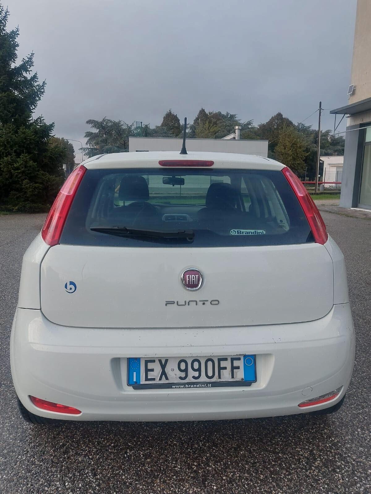 Fiat Punto 1.3 MJT II 75 CV 5 porte Lounge