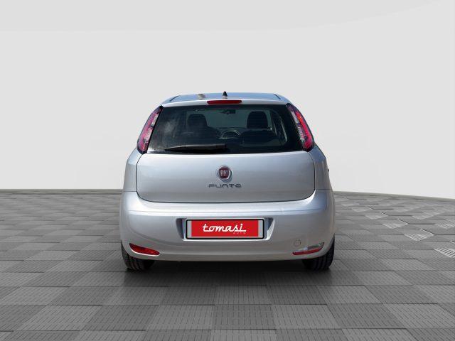 FIAT Punto Punto 1.2 8V 5 porte Street