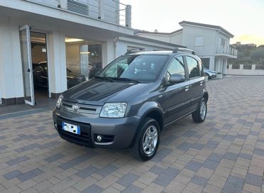 Fiat Panda 1.3 MJT 16V DPF 4x4 Climbing
