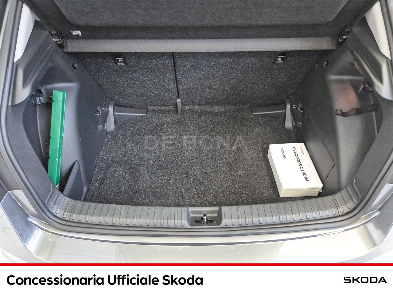 Skoda Fabia 1.0 tsi evo young edition 95cv