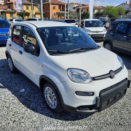 FIAT Panda My23 1.0 70cv Hybrid Panda