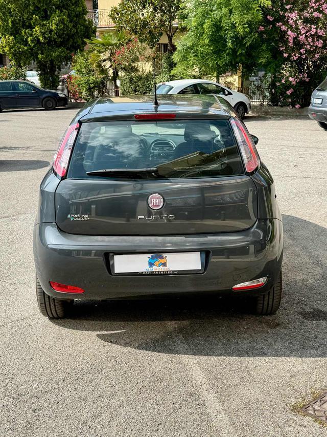FIAT Punto 1.4 8V 5 porte Natural Power Easy