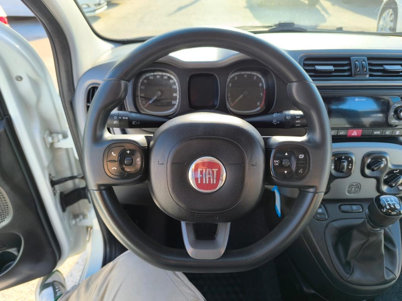 Fiat Panda Lounge 1.2 CC 69 CV 2019