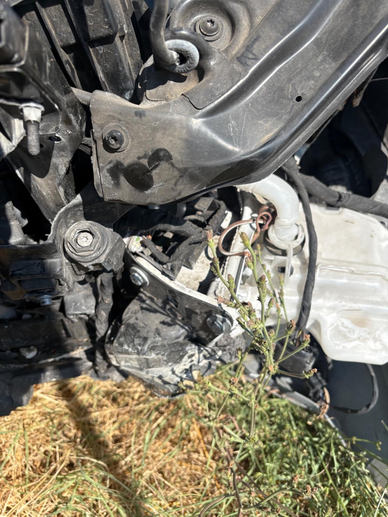 Volkswagen Polo Incidentata