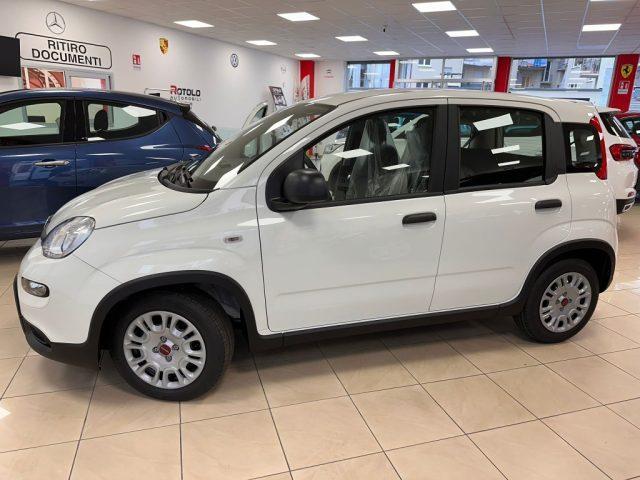 FIAT Panda 1.0 Hybrid PROMO CAR SERENITY