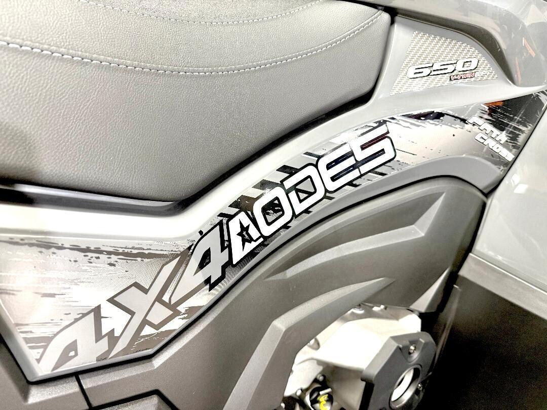 AODES PATHCROSS 650 T3 Targa gialla