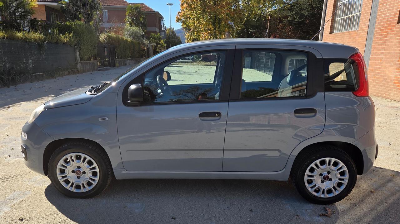 Fiat Panda 1.2 EasyPower GPL Easy 69cv