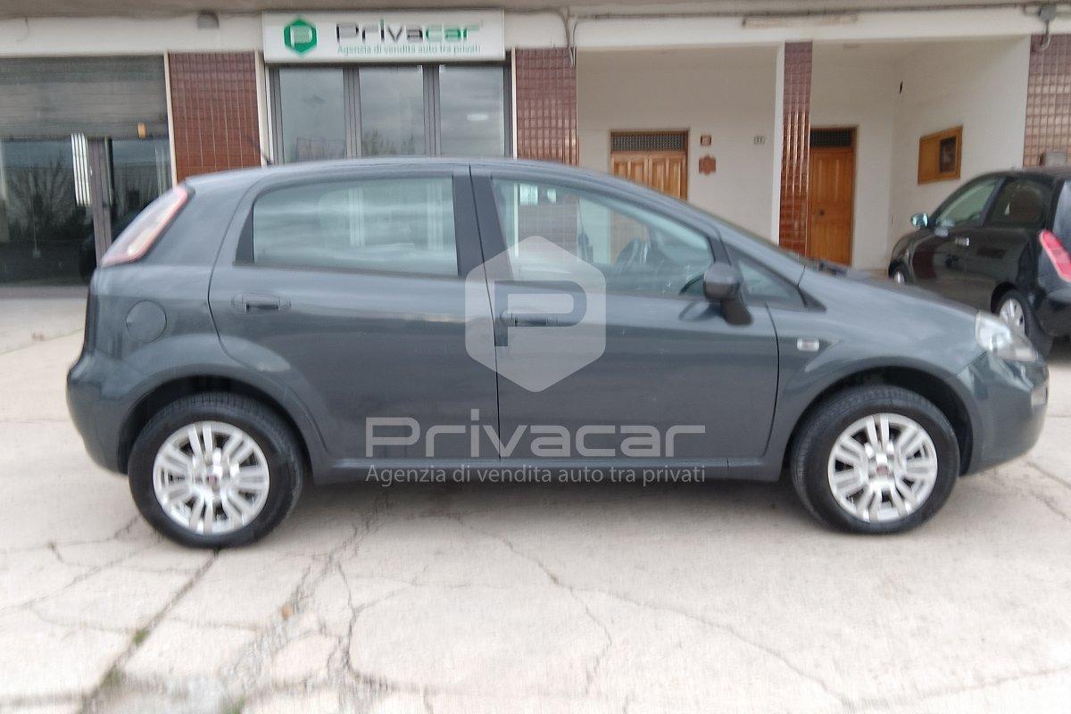 FIAT Punto 1.4 8V 5 porte Natural Power Street
