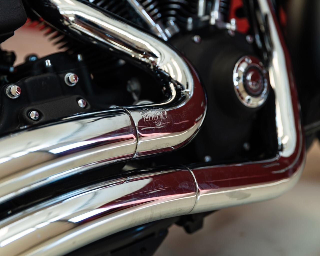 Harley-davidson Dyna "F. Bob"