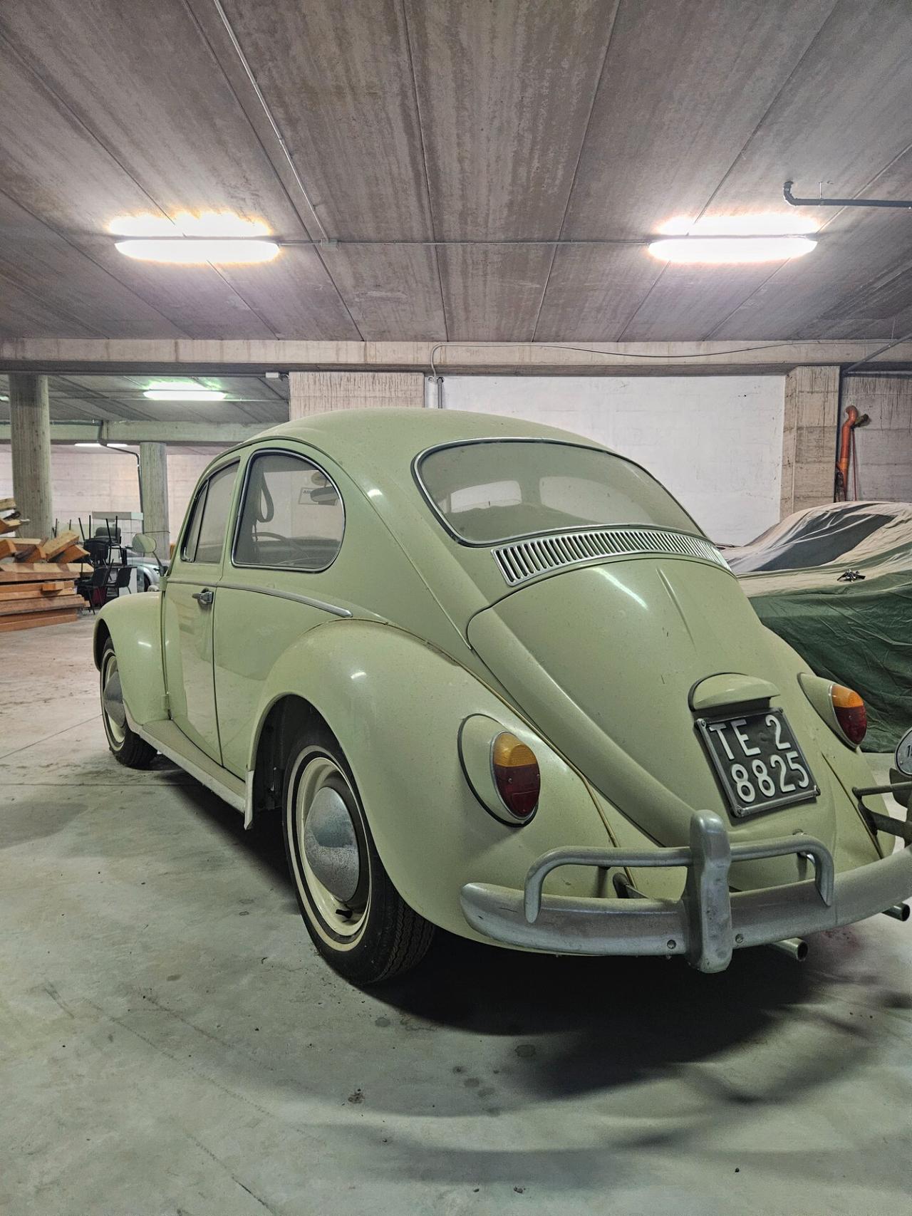 Volkswagen Maggiolino 6v