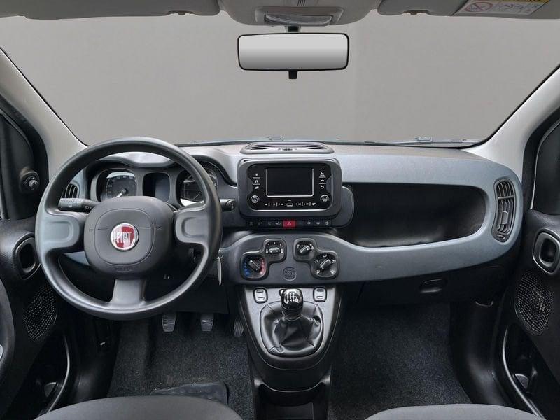 FIAT Panda Panda 1.0 firefly hybrid s&s 70cv 5p.ti - PROMO SIRONIAUTO+