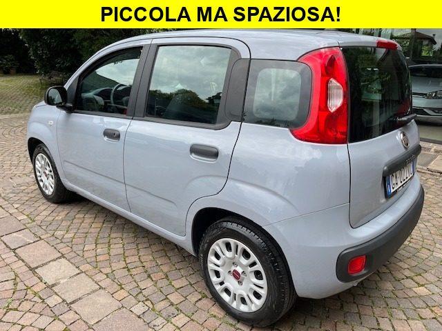 FIAT Panda 1.2 Benzina euro6 Neopatentati