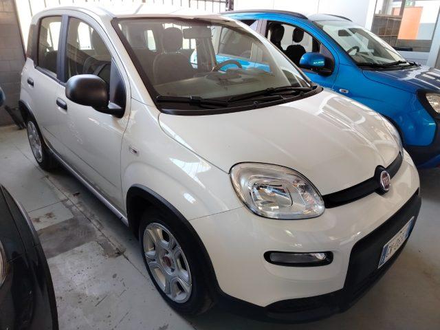 FIAT Panda 1.0 FireFly S&S Hybrid km 2.000