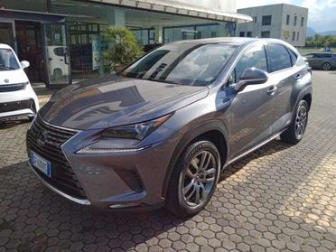 Lexus NX 300 NX I 2018 300h 2.5 Premium 4wd cvt