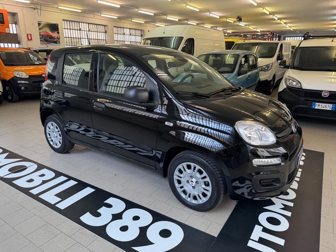 Fiat Panda Pandina 1.0 FireFly 65 CV Hybrid Icon
