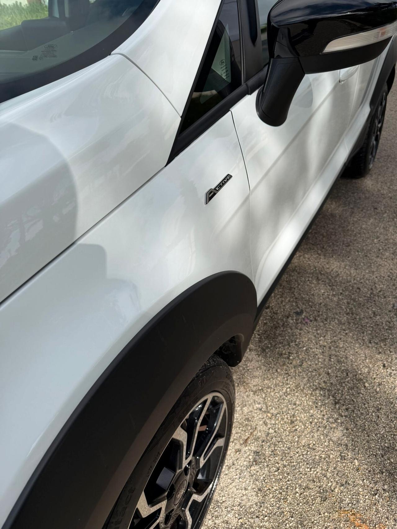 Ford EcoSport 1.0 EcoBoost 125 CV Start&Stop Active