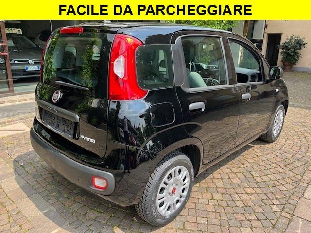 FIAT Panda 1.2 Benzina euro6 Neopatentati