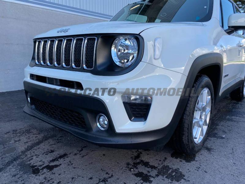 Jeep Renegade Renegade My21 Business 1.3 GseT4 150cv Ddct