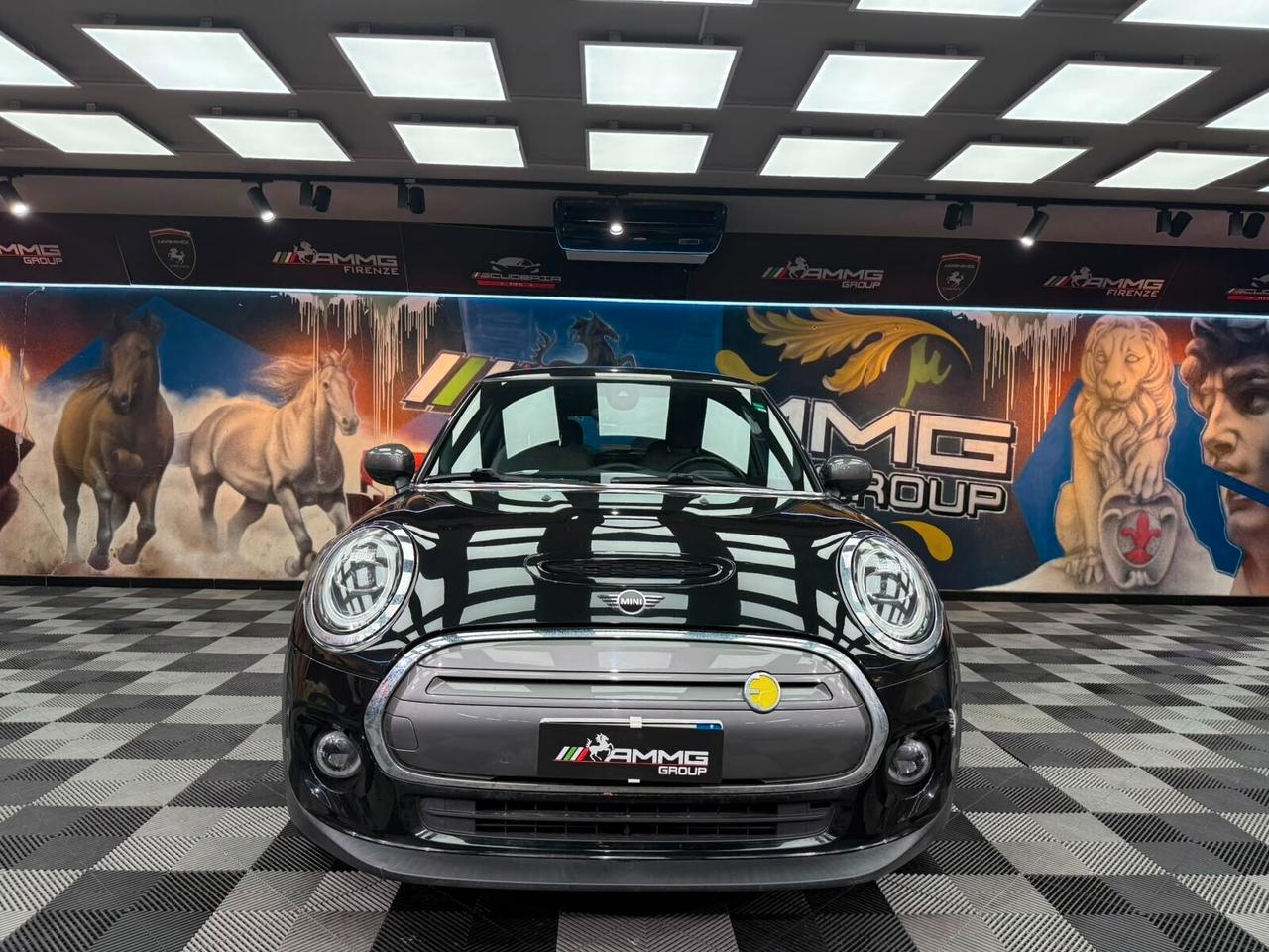 Mini Cooper SE XL (934)