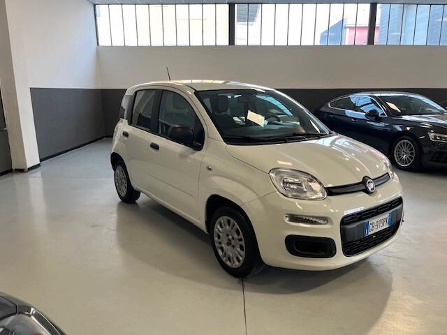 Fiat Panda 1.2 Easy 4 posti OK NEO PATENTATO