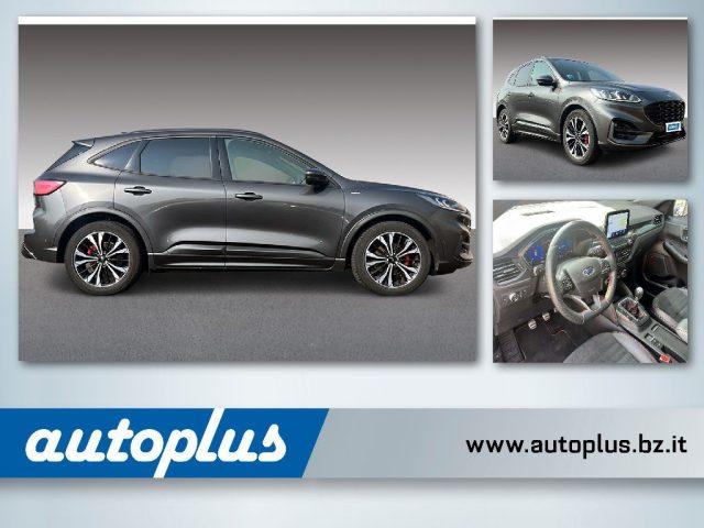 FORD Kuga 2.0 EcoBlue Hybrid 150 CV 2WD ST-Line X