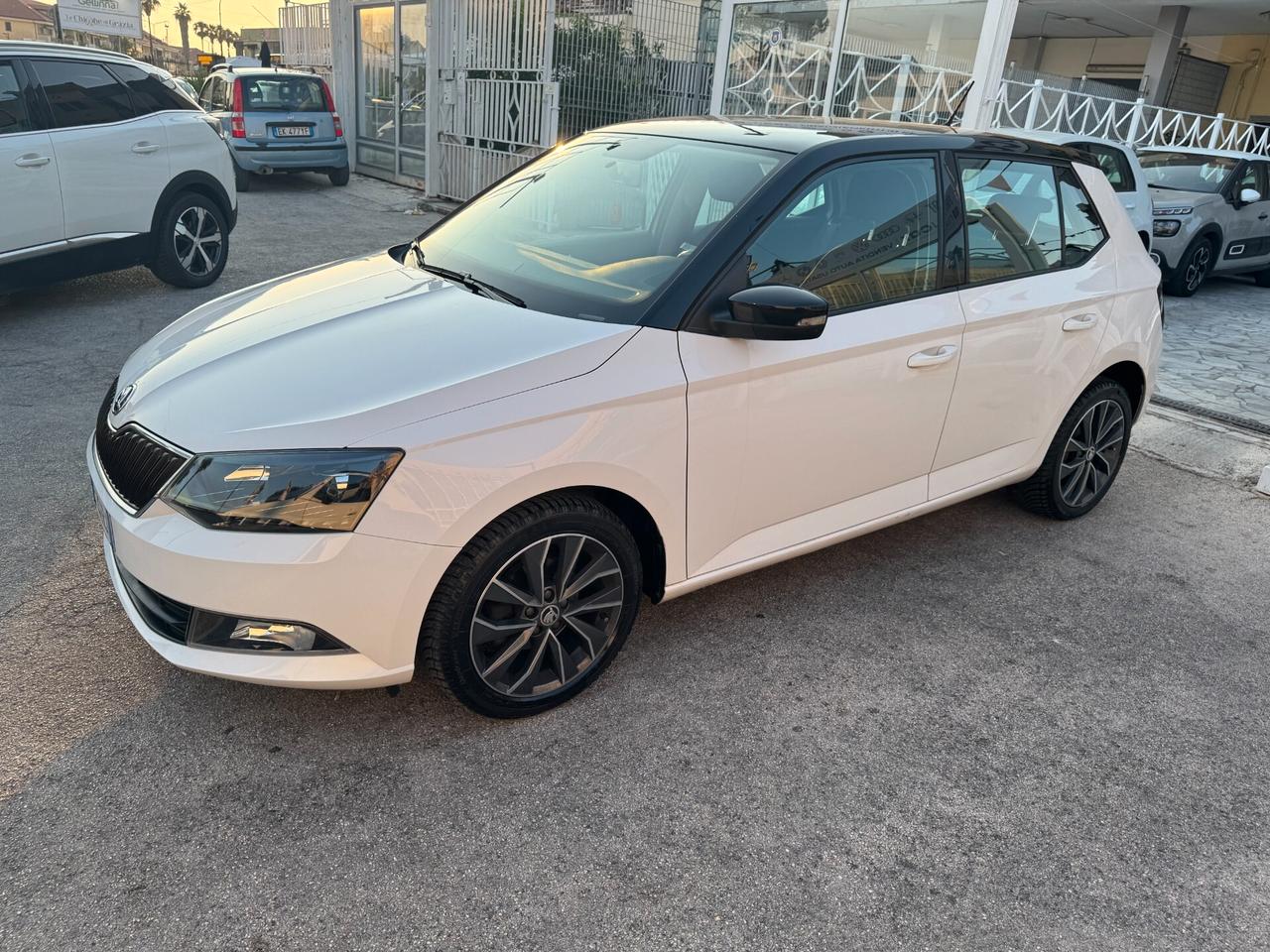 Skoda Fabia 1.4 TDI 90 CV Executive