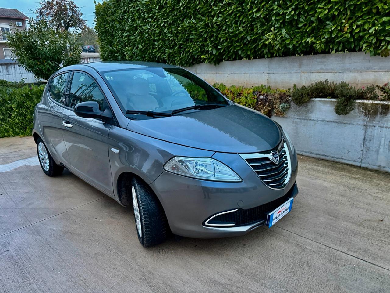 Lancia Ypsilon 1.2 69 CV 5 porte Platinum