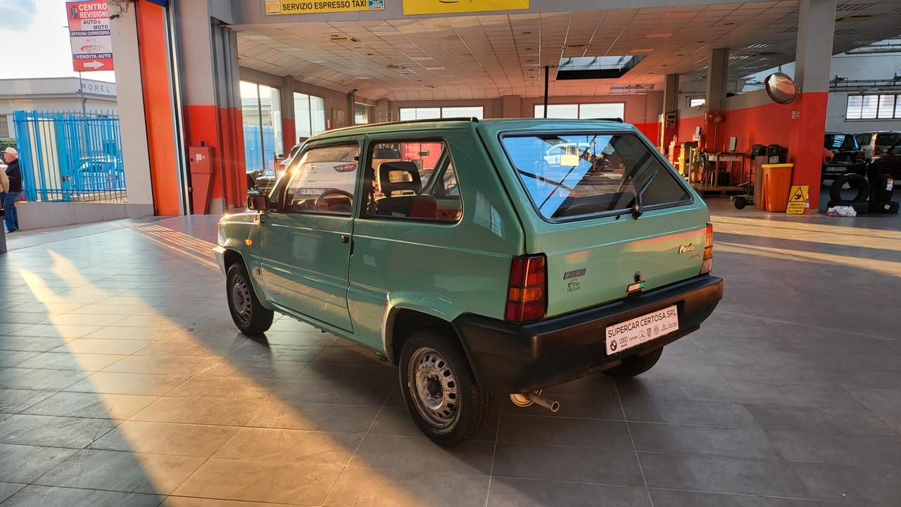 Fiat Panda 900 i.e. cat Young