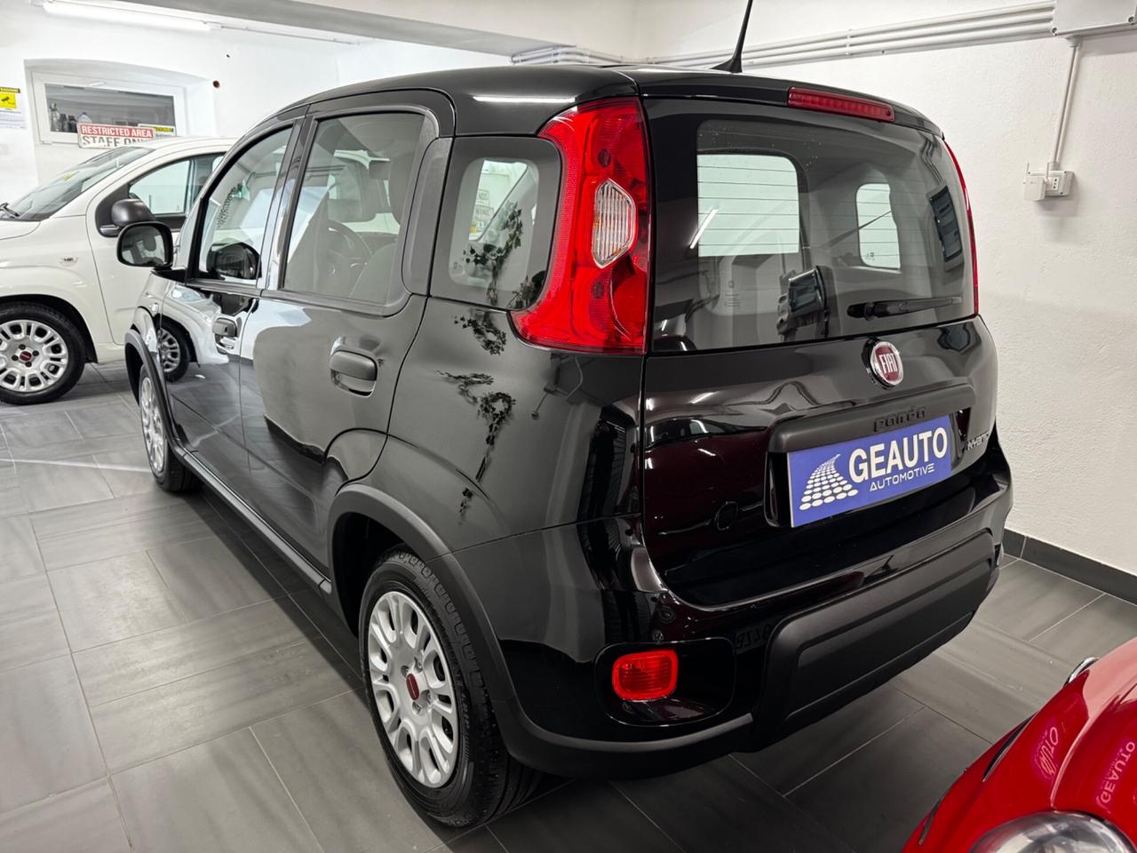 Fiat Panda 1.0 BENZINA/ Hybrid City Life SEMINUOVA KM 3.500