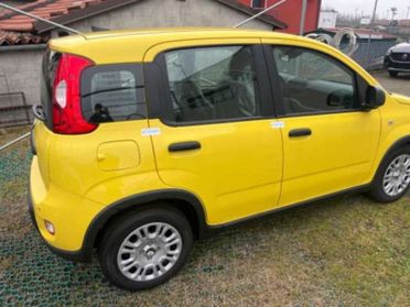 FIAT Panda 1.0 firefly hybrid s&s 70cv