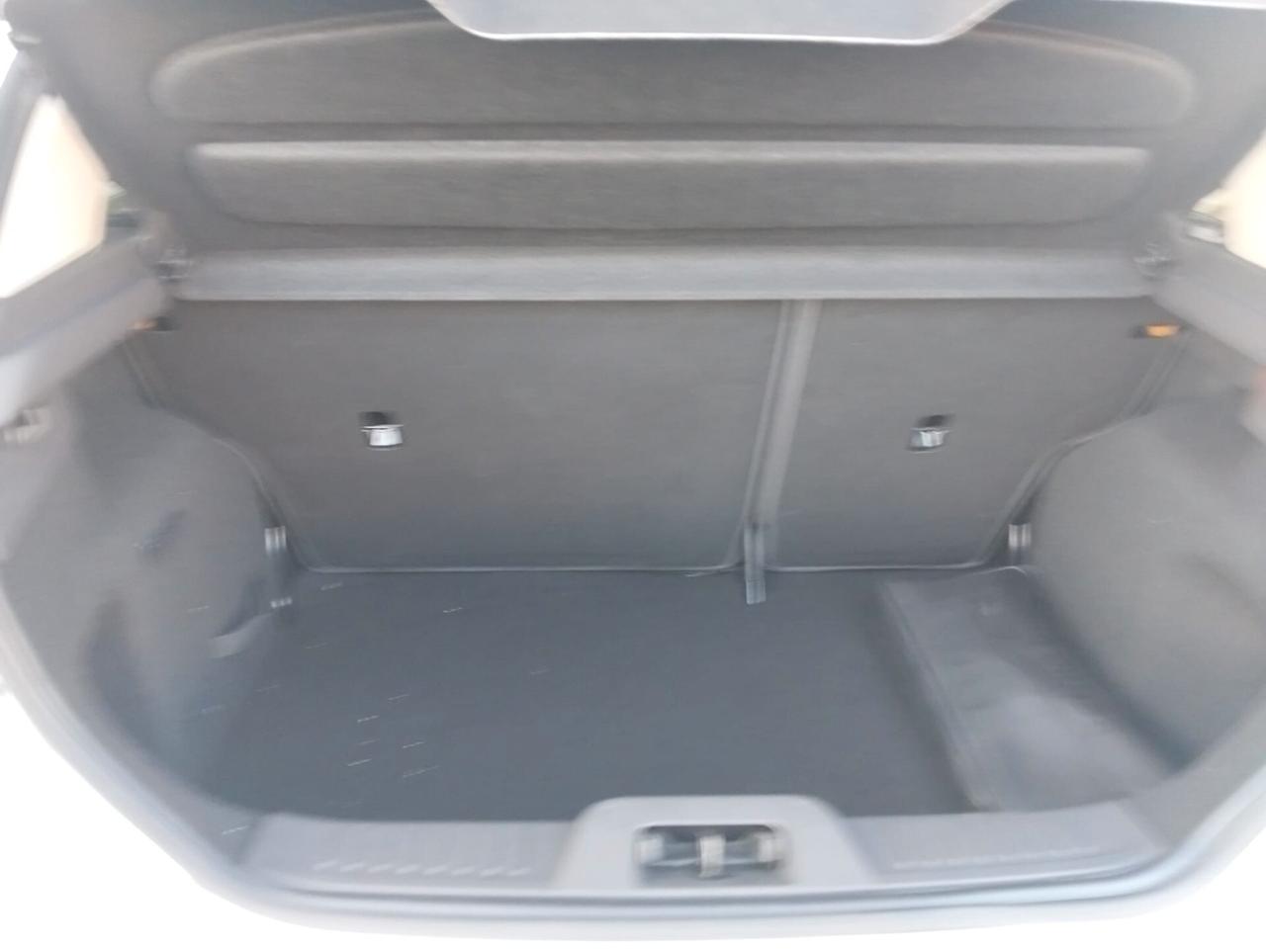 Ford Fiesta 1.5 TDCi 75CV 5P Titanium